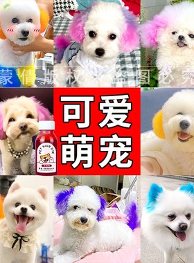 蒙倩狗狗专用染发膏宠物美发膏樱花粉红橙色泰迪狗博美犬染毛膏剂