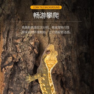 新派WACOOL玩酷爬宠造景树皮背景板雨林缸爬缸饲养箱天然橡树皮