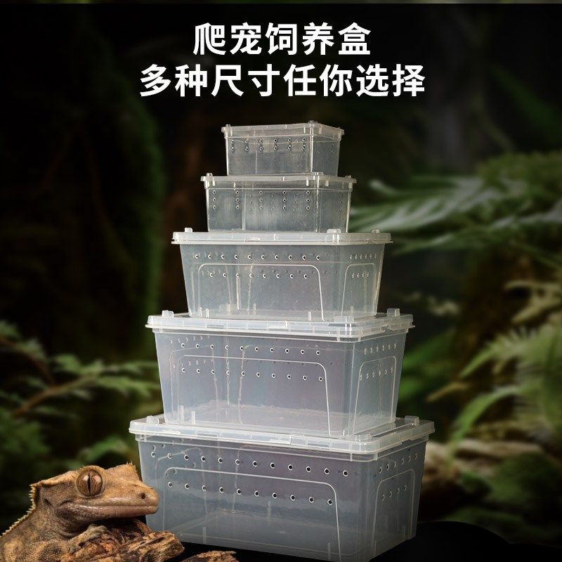 爬虫饲养盒守宫新手套餐宠物蜥蜴睫角饲养箱蜘蛛蝎子小蜗牛观赏盒,宠物/宠物食品及用品,桌面缸,淘宝优惠券,粉丝福利购,淘宝优惠卷