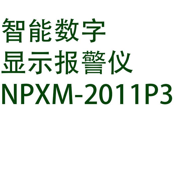 智能数字显示报警仪NPXM-2011P3