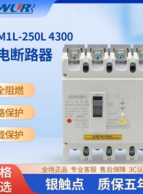 塑壳漏电三相四线250 3P4P漏电动作电流可调节CM1L塑壳漏电断路