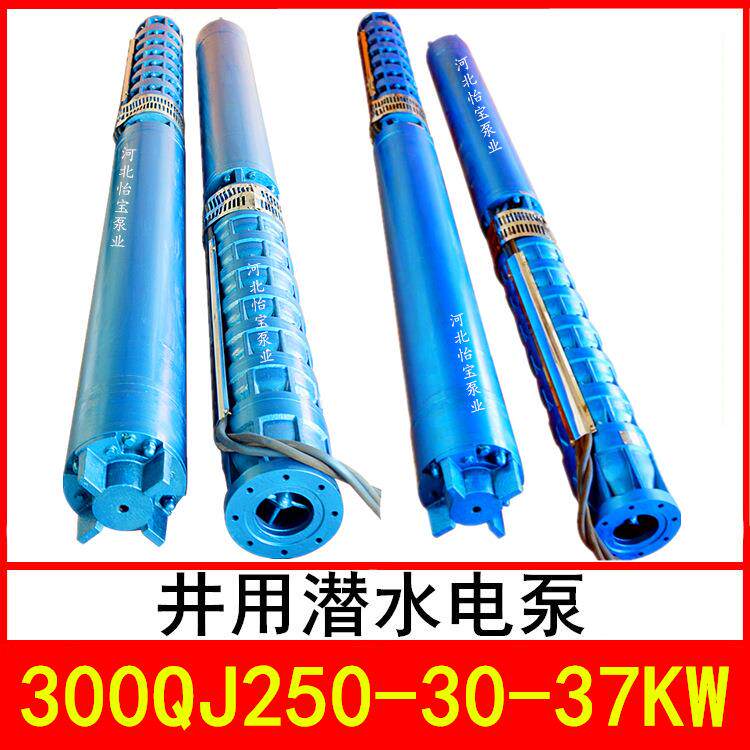 300QJ250-30/2井用潜水电泵深井泵QJR热水泵立式多级泵