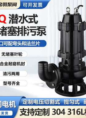 250WQ500-9-22移动式无堵塞潜水排污泵QW250-500-9-22循环泵