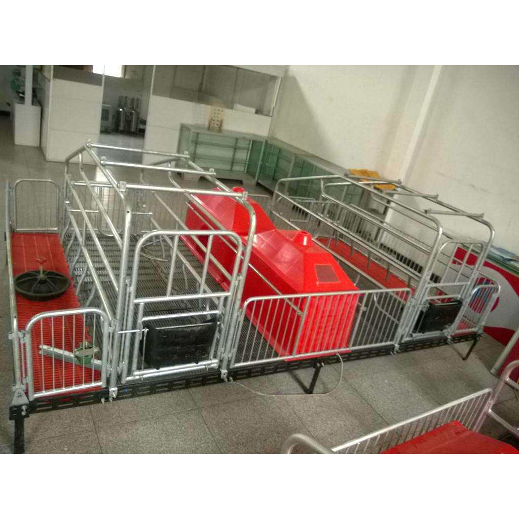 养猪设备定位栏猪用限位栏热镀锌猪栏母猪定位栏2600*800