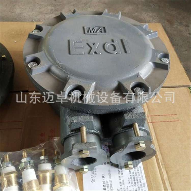 DSB-30/40KW电机接线盒 改防爆电机接线盒 电机防爆盒改装