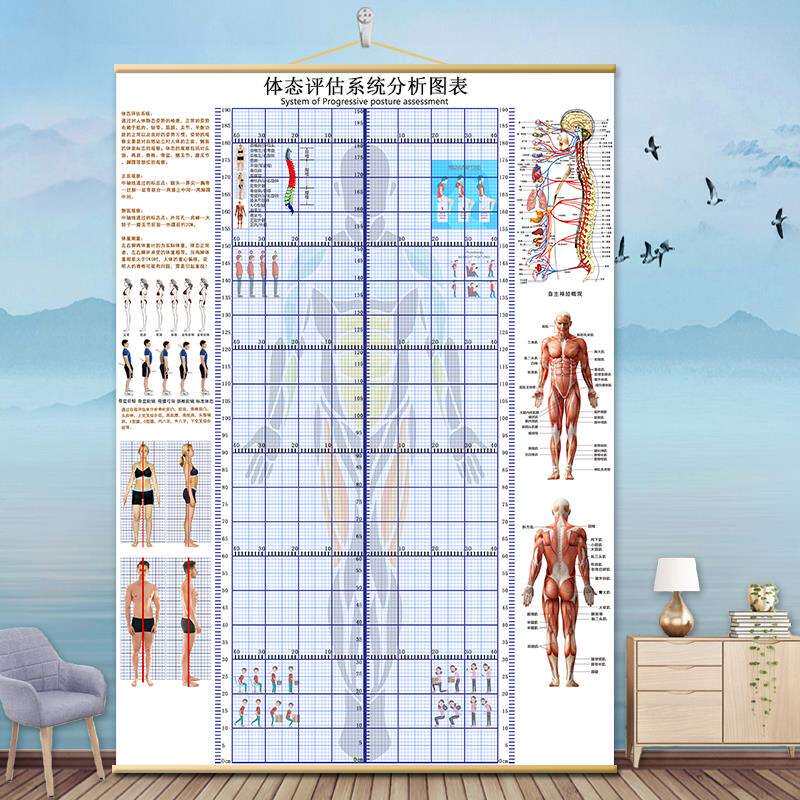 体态评估表挂式贴式体测健身房瑜伽馆私教身高臂展网格身体对唐延