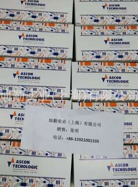 ASCON Tecnologic温度控制器M5-3154-0000  ASCON温控器TH2A40010