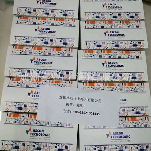 ASCON Tecnologic温度控制器M5-3154-0000  ASCON温控器TH2A40010