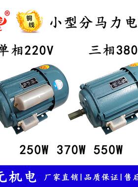 厂家分马力感应电动机250w/370w/550w小型电机单相220v三相380v铜