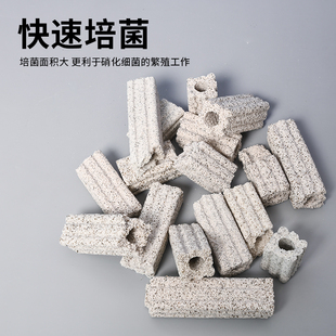 断裂细菌屋鱼缸水族鱼池纳米培菌破损净水细菌屋硝化细菌柱石英环