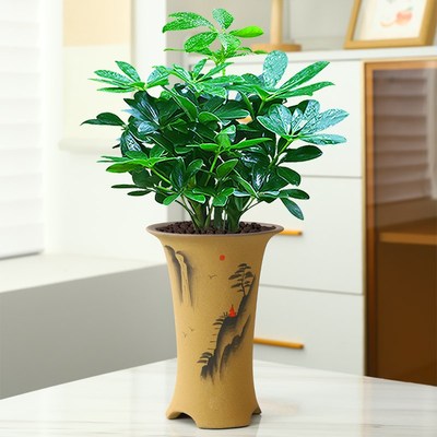 青瓷手绘陶瓷花盆圆形兰花盆家居摆件创意花插桌面装饰工艺品干花