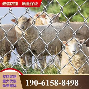 热镀锌铁丝网围栏养鸡狗牛羊网养殖网勾花网钢丝网防锈户外防护网