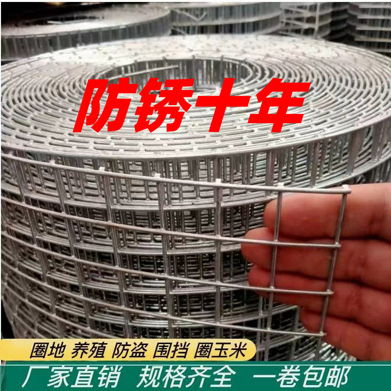 热镀锌钢丝网不锈钢钢丝网围栏网防鼠蛇牛羊鸡鸭果园围栏抹墙防裂