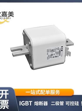 170M8635170M8636快速熔断器保险丝电子元器件量大价优