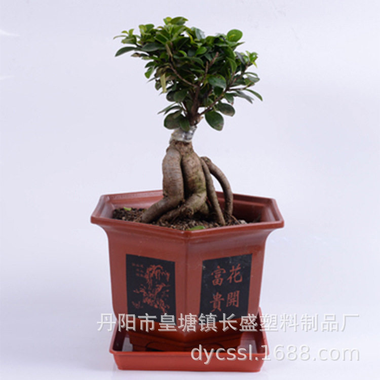长期供应园艺六角花盆特大加厚仿陶瓷花卉苗木盆景绿植塑料大花盆