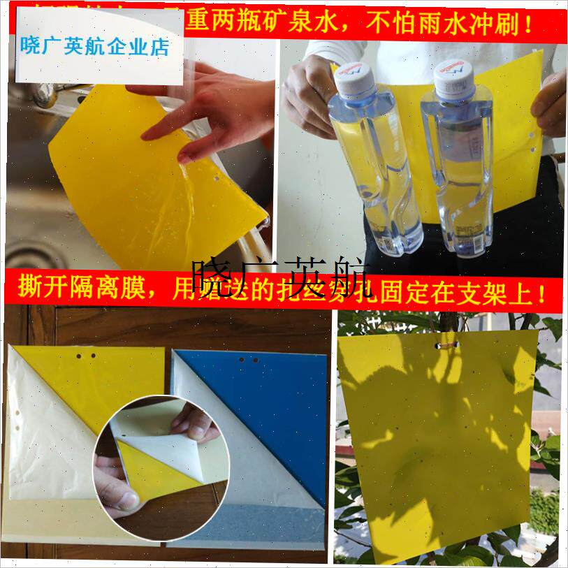 粘虫板黄板双面诱虫板纸贴黄色杀飞虫小黑飞沾果T蝇诱捕器粘板大l