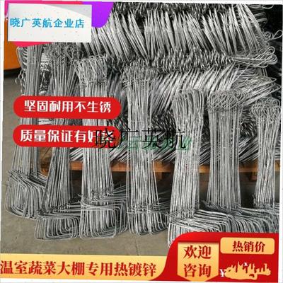 蔬菜大棚专用钢丝地锚热t镀锌钢丝地锚钩地桩大棚配件大全新型地l