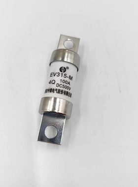 西安中熔电气新能源汽车熔断器EV315-M4Q100A保险DC500V保险管