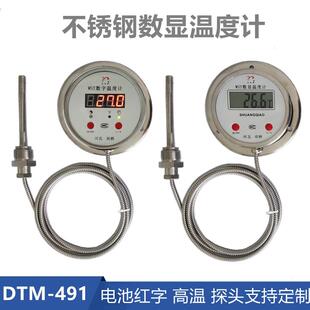 数显温度计不锈钢带PT100长线探头高温低温数字电子温度表DTM-491