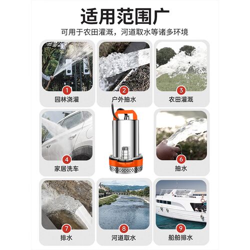 电动车电瓶车专用直流潜水泵4860v72V小型抽水泵家用浇菜灌溉神器