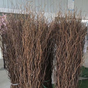 龙柳枝条树枝树干装饰室内级感侘寂风天然真干花摆件插花干鲜枝