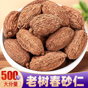 春砂仁500g中药材新货毛砂仁香砂仁干果炖肉泡水香料调料大全