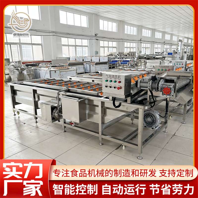 多功能圣女果浸泡清洗机 连续式蓝莓洗果机 商用柚子气泡清洗机