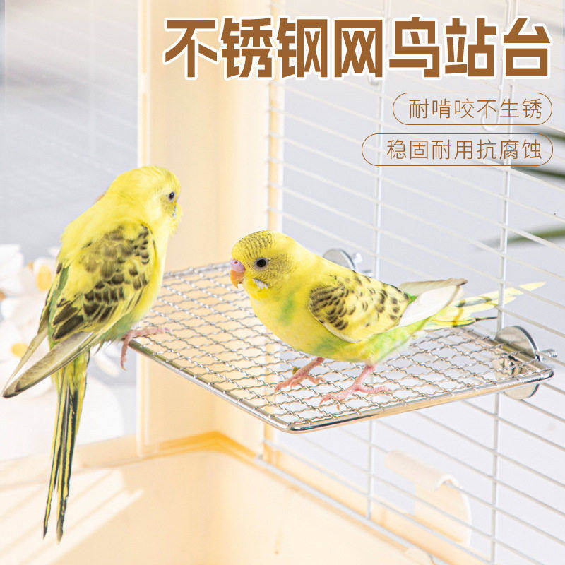 鹦鹉玩具站台不锈钢网格平台玩耍台虎皮玄凤站板鸟笼配件鸟用品,宠物/宠物食品及用品,其它宠物用具,淘宝优惠券,粉丝福利购,淘宝优惠卷