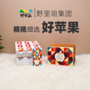野里垣丑芭高原野苹果脆甜冰糖心红富士新鲜水果当季 整箱丑苹果