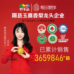 野里垣梨隰县玉露香梨山西临汾隰县梨特产新鲜水果梨子正品黄金款