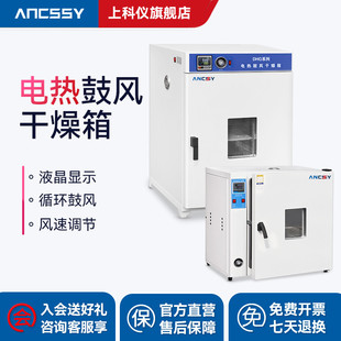 艾析电热恒温鼓风干燥箱实验室烘箱高温小型工业烤箱烘干机电加热