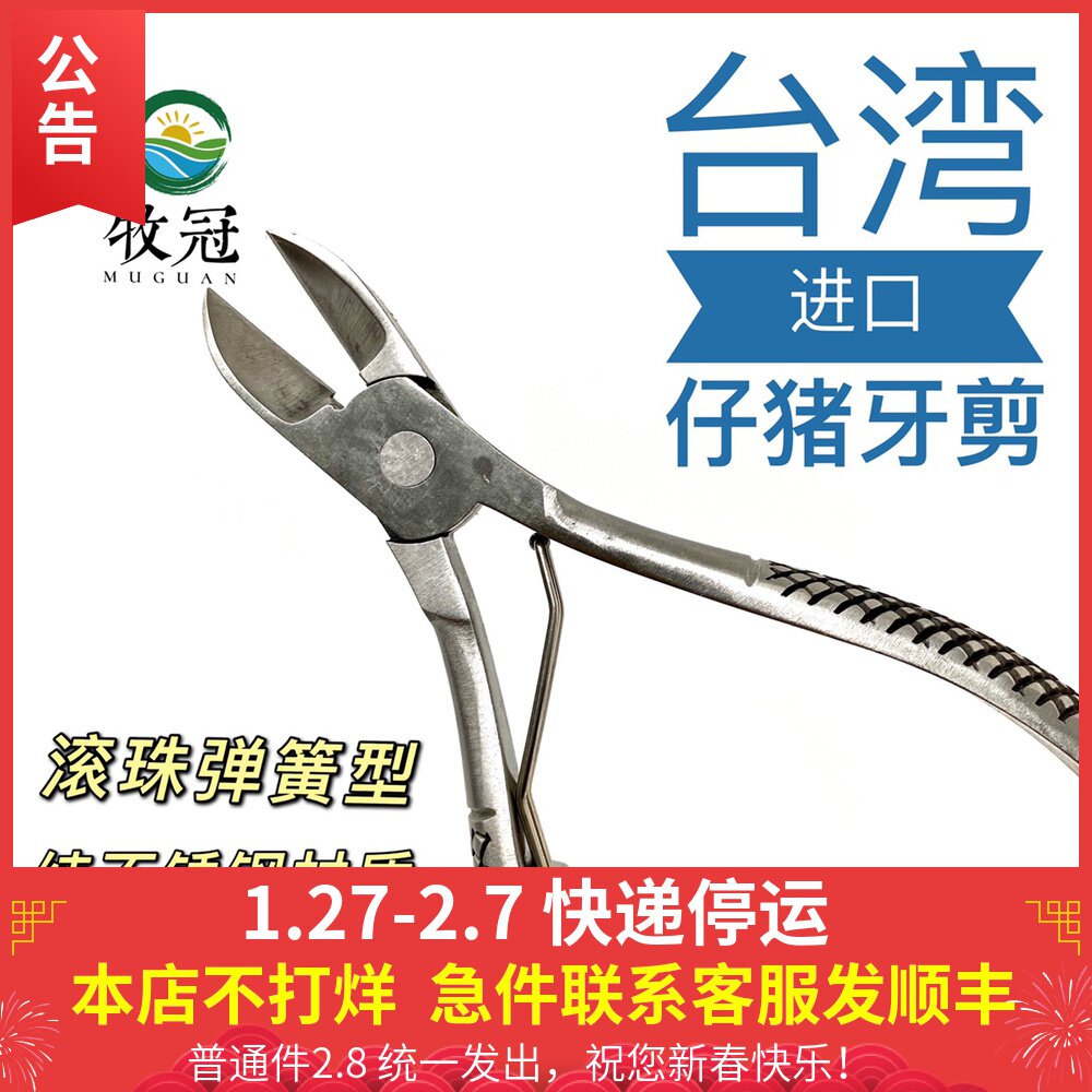 畜牧养殖猪场兽用剪牙钳 纯不锈钢牙剪 台湾进口小猪仔猪剪牙钳