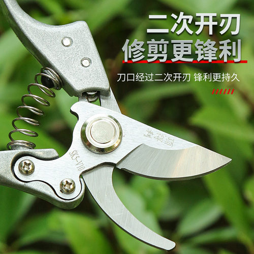 园艺粗枝剪果树园林修枝剪弯头弹簧省力手动园艺剪刀修树修剪树枝