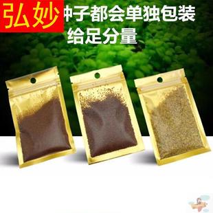 极速套餐牛叶毛叶草鱼缸造前景生大态景对迷你V水草珍珠草种