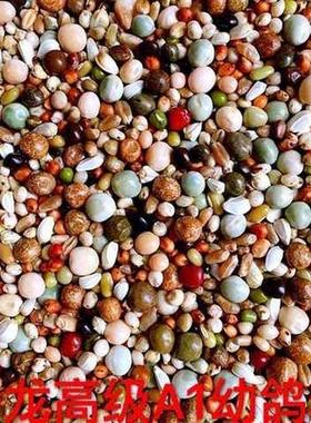 极速枭龙A1幼鸽粮无玉米鸽子粮信鸽子饲料5P0斤装江浙沪皖包邮