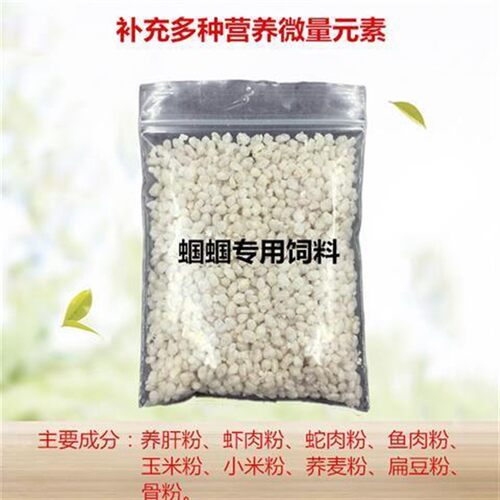 极速买一送d一螽斯食饲料鸣虫爬虫昆虫 蟋蟀蛐蛐油葫芦黑白虫活体