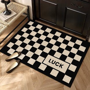简约黑白入户门地垫丝圈门垫玄关大门口脚垫家用防尘耐磨防滑地毯