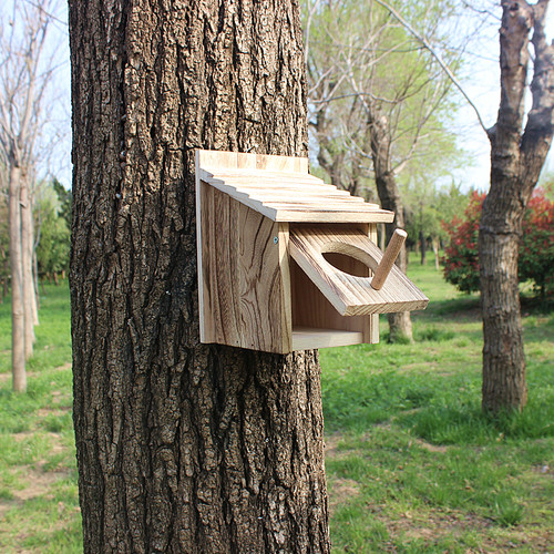 户外鸟窝环保实木小房子鹦鹉繁殖箱定制芦丁鸡保温笼爬虫用具引鸟