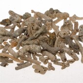 水族箱鱼缸滤材过滤材料优质珊瑚砂珊瑚石珊瑚骨珊瑚沙500g