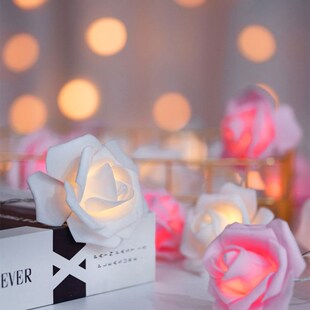 浪漫玫瑰花彩灯串灯后备箱求婚惊喜场景生日布置网红房间卧室装饰