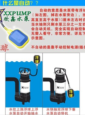 SPP100塑料泵潜水泵花园泵地面吸干泵浇花浇菜地下室抽积水潜水泵