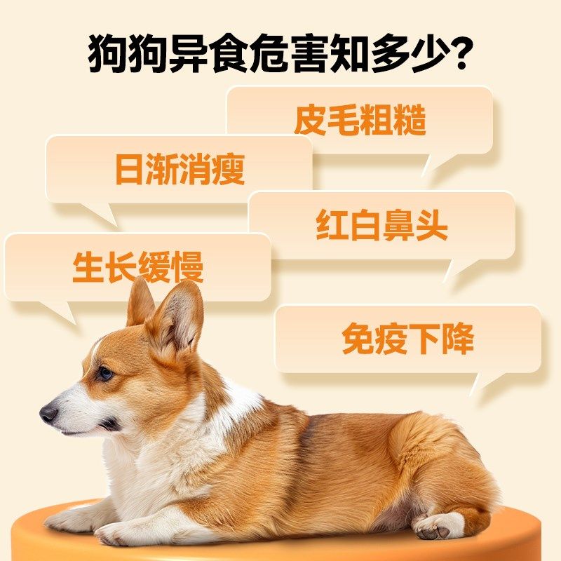 谷登高钙片狗狗健骨补钙宠物微量元素片改善吃屎啃墙吃草异食症,宠物/宠物食品及用品,狗氨基酸/维生素/钙铁锌,淘宝优惠券,粉丝福利购,淘宝优惠卷