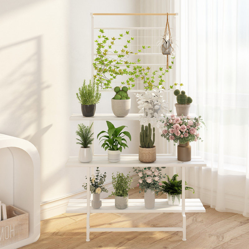 轻奢风格铁艺爬藤花架子