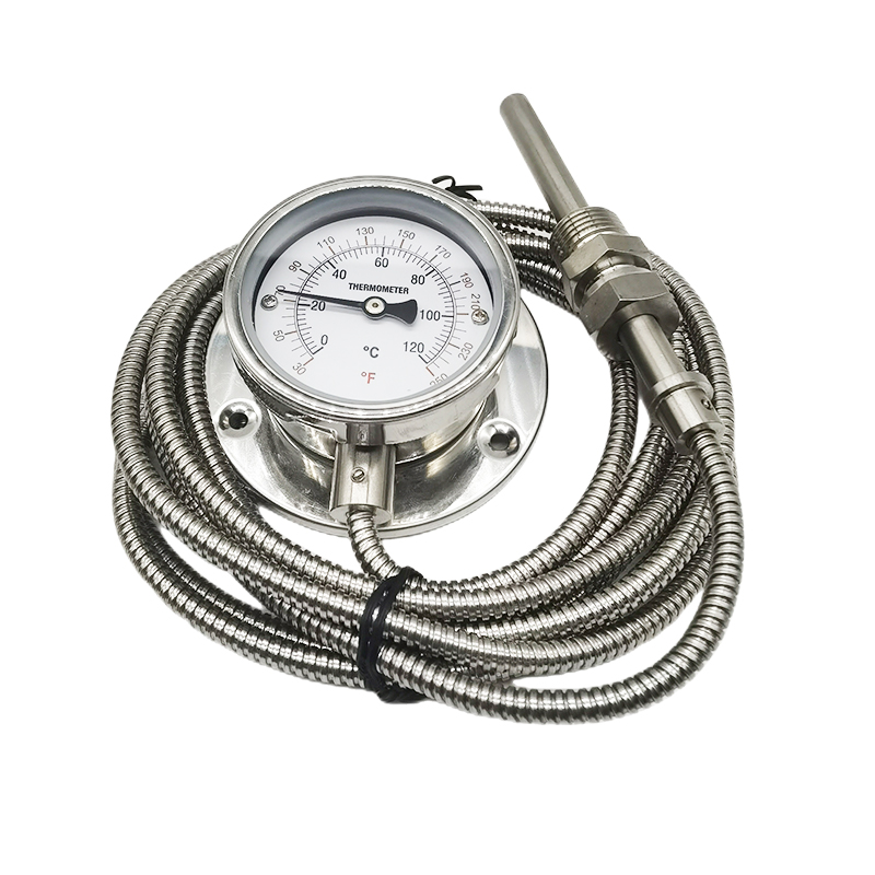 Y60/63小表盘全不锈钢英文表盘304压力式温度计带线型WTQ/WTZ-280