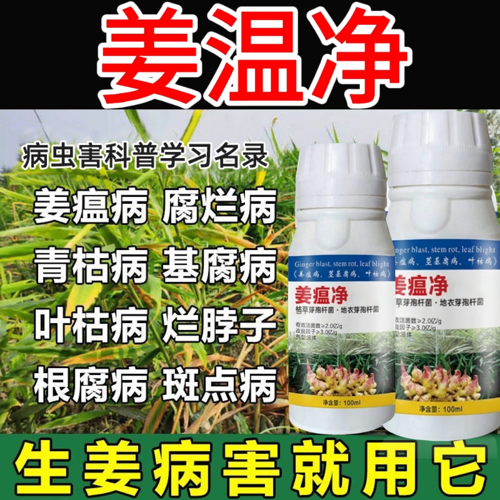 姜瘟净生姜姜病病毒清烂脖子姜瘟灵种姜大姜沙姜正品微生物菌剂