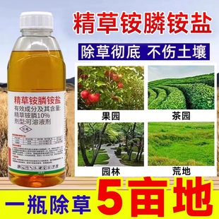 除草烂根剂牛筋草果园荒地杂草烂根高浓度除草剂 精草铵膦铵盐正品