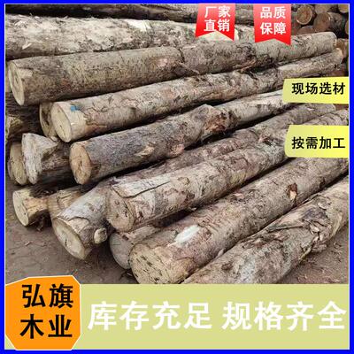 港区直发杨木原木包装箱材杨木实木烘干板材原木板材整板