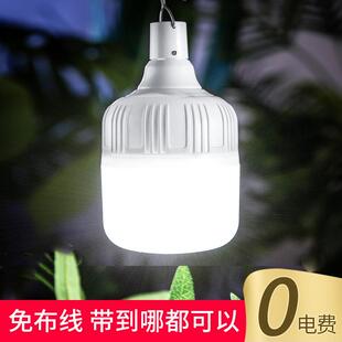 太阳能LED庭院灯泡户外防水节能家用室内超亮客厅室外照明充电灯