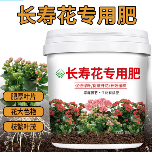 长寿花专用营养液免稀释