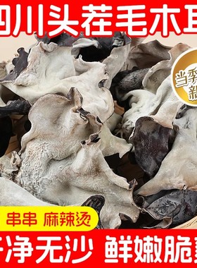 毛木耳干货四川火锅食材500g散装脆木耳白背黑木耳大地耳脆耳子
